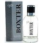 Chat D'or Boxter