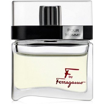 Salvatore Ferragamo F by Ferragamo Pour Homme