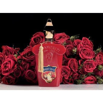 Xerjoff Bouquet Ideale