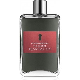 Antonio Banderas The Secret Temptation