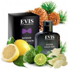 Evis Intense Collection №152