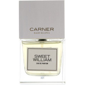 Carner Barcelona Sweet William