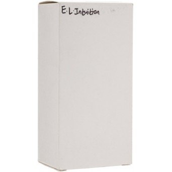 Estee Lauder Intuition