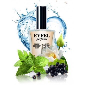 Eyfel Perfume S22