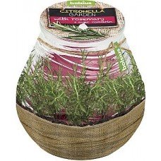Ароматическая свеча в банке "Citronella Garden Rosemary", 94/91 мм