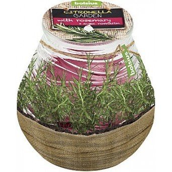 Ароматическая свеча в банке "Citronella Garden Rosemary", 94/91 мм