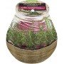 Ароматическая свеча в банке "Citronella Garden Rosemary", 94/91 мм