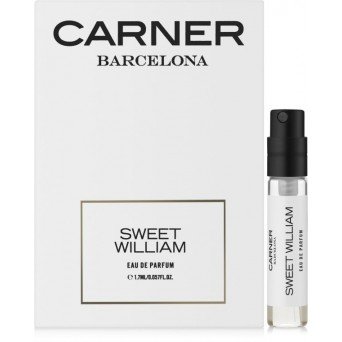Carner Barcelona Sweet William