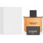 Loewe Solo Loewe