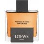 Loewe Solo Loewe