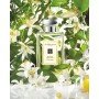Jo Malone Orange Blossom