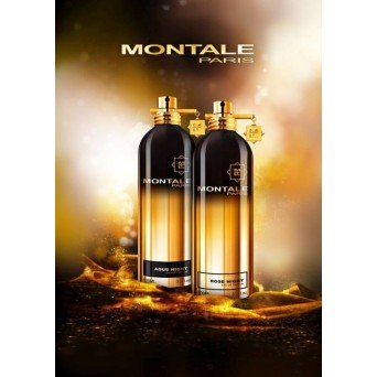 Montale Aoud Night