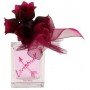 Vera Wang Lovestruck