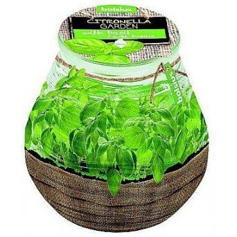 Ароматична свічка в банку Citronella Garden Basilic, 94/91 мм.