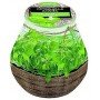 Ароматична свічка в банку Citronella Garden Basilic, 94/91 мм.