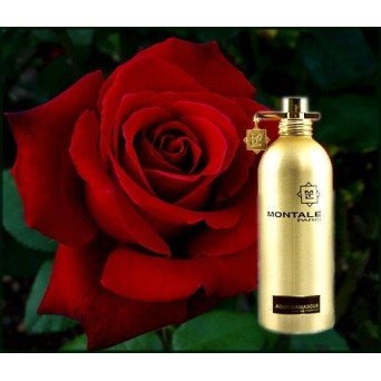 Montale Aoud Damascus