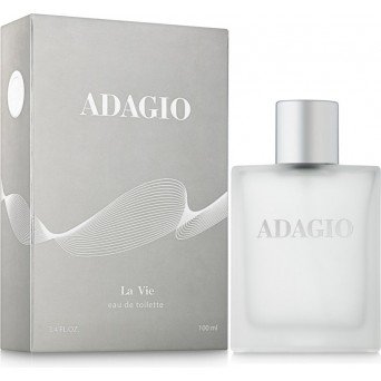 Dilis Parfum La Vie Pour Homme Adagio