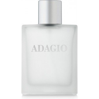 Dilis Parfum La Vie Pour Homme Adagio