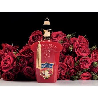 Xerjoff Bouquet Ideale