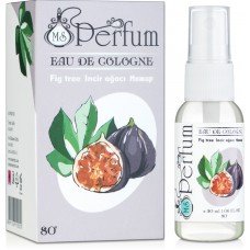 MSPerfum Fig Tree