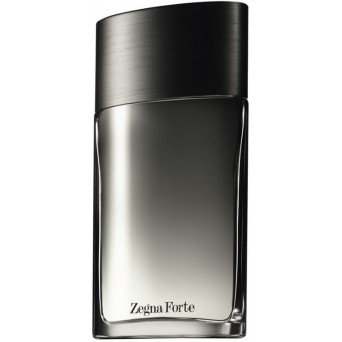 Ermenegildo Zegna Zegne Forte