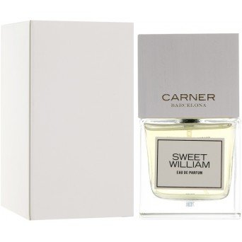 Carner Barcelona Sweet William