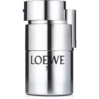 Loewe 7 Plata