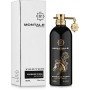 Montale Arabians Tonka