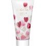 Escada Celebrate N.O.W.