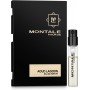 Montale Aoud Lagoon