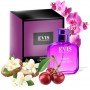 Evis Intense Collection №51