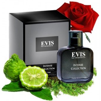 Evis Intense Collection №502