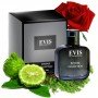 Evis Intense Collection №502