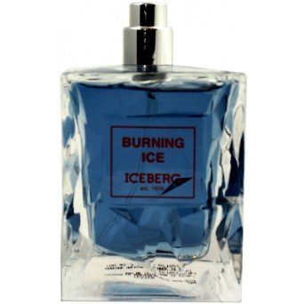 Iceberg Burning Ice