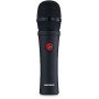 The Voice Women
