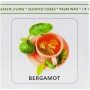 Аромакубики "Бергамот"