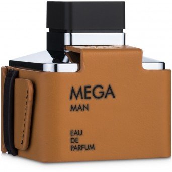 Flavia Mega Man