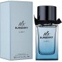 Burberry Mr. Burberry Element