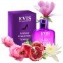 Evis Intense Collection №37
