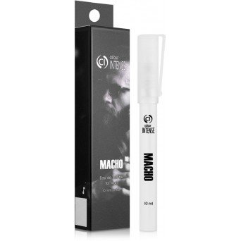 Colour Intense Macho
