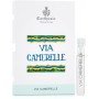 Carthusia Via Camerelle