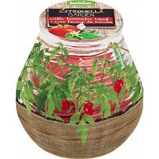 Ароматическая свеча в банке «Citronella Garden Tomato Leaf», 94/91 мм