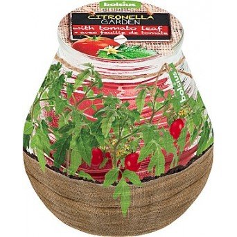 Ароматическая свеча в банке «Citronella Garden Tomato Leaf», 94/91 мм