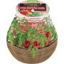 Ароматическая свеча в банке «Citronella Garden Tomato Leaf», 94/91 мм