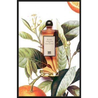 Serge Lutens Fleurs d'Oranger