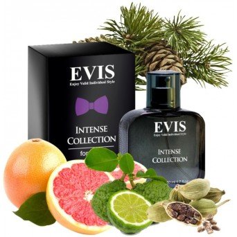 Evis Intense Collection №105