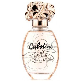 Gres Cabotine Fleur Splendide