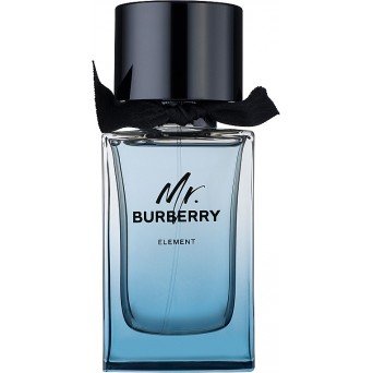 Burberry Mr. Burberry Element