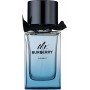 Burberry Mr. Burberry Element