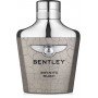 Bentley Infinite Rush